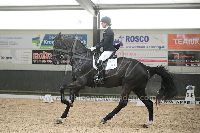 Marjolein de Jong - Orlandeaux M