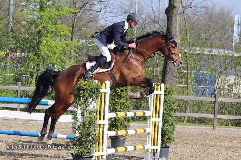 Hippisch Nieuwleusen L