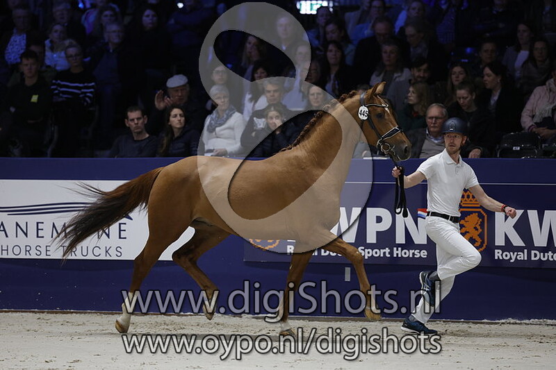 Risky Business v. Koning - 440