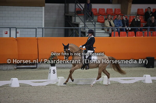 Syrah van de Rovaart met Donna Daria