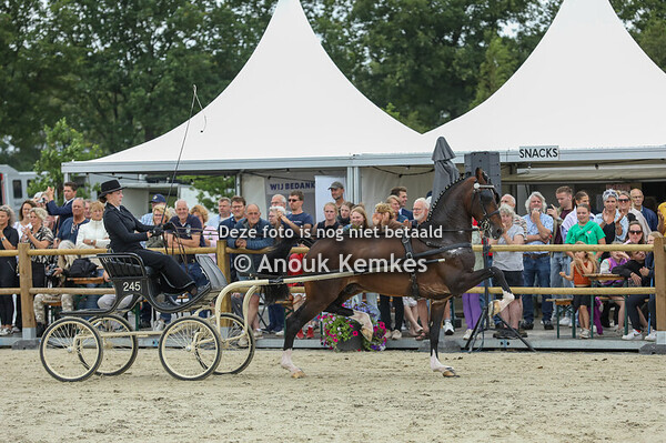 TP VERT Kampioenschap 6-7 Jarigen 