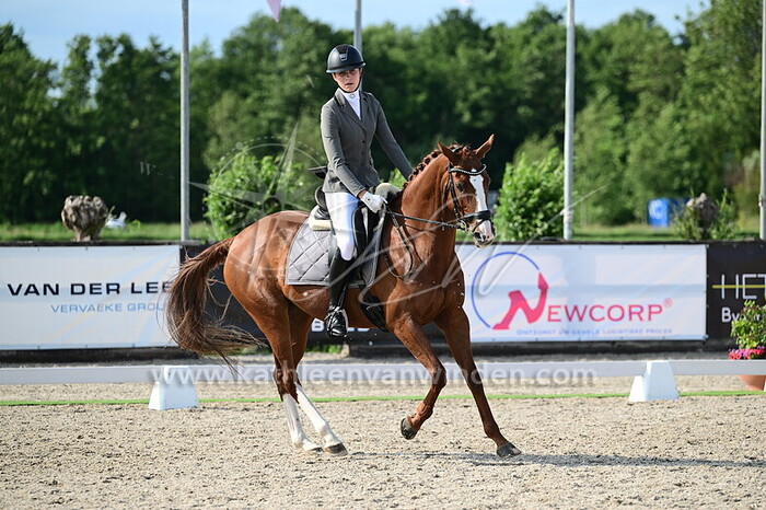 Tara Schermer - Darraughs Diamond