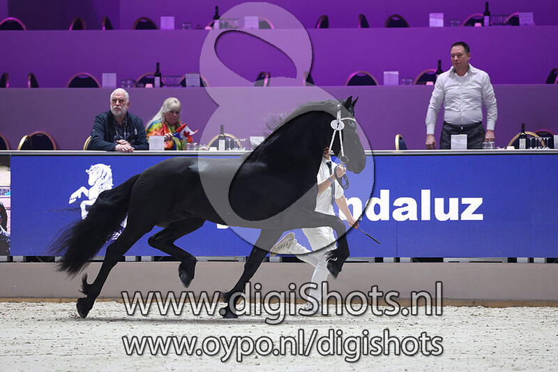 Pracht fan Friesburg v. Fonger 478