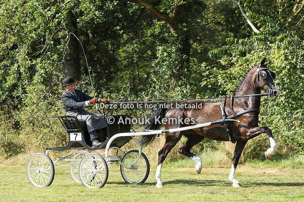 TP Fokmerries Kampioenschap