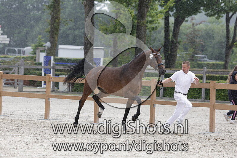 Sweetheart v. Mexpression