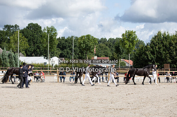 Rubriek 6 merries 3 jaar