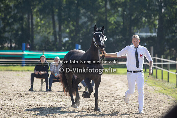 36. Pauljina T fan Schwan