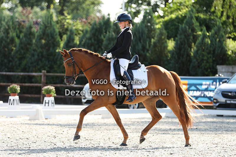 18.15-20.00 uur Ring 3 & 4