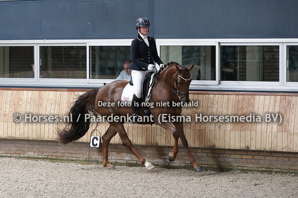 4 Donna W (Don Schufro x Chanel v. Sandro Hit x Castro)