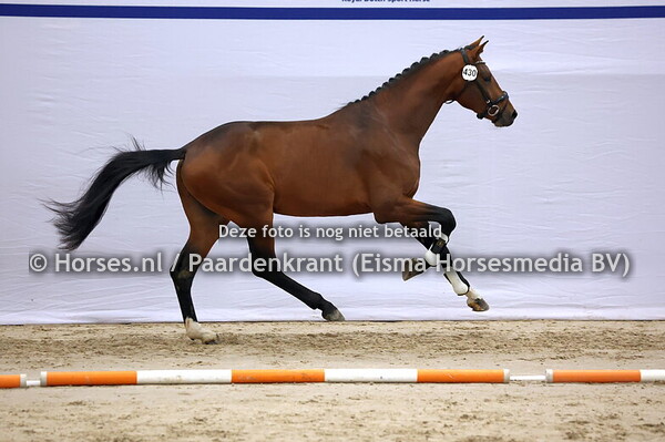 430  (Le Formidable x Expression)