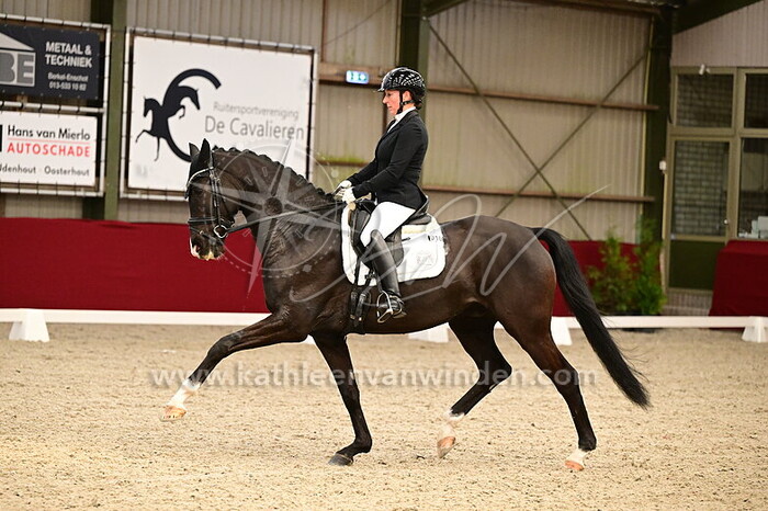 Jana Freund - Salinero