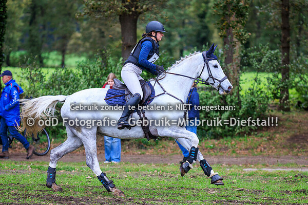 Eventing Barchem paard M 25-10-25