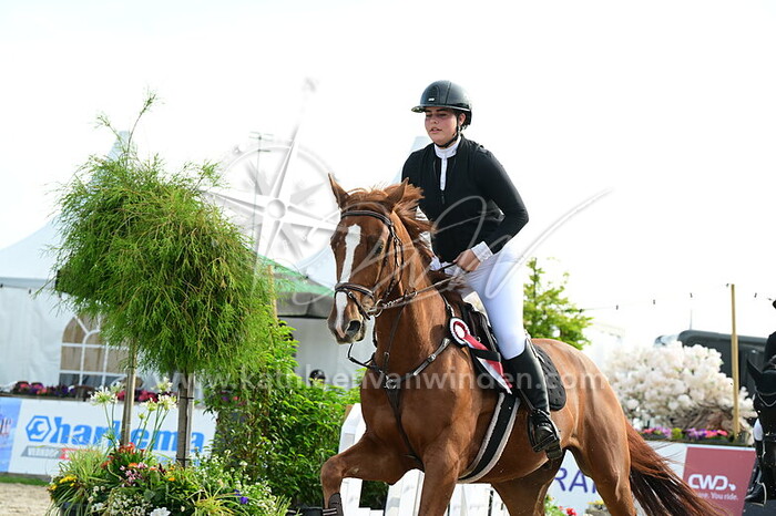 Shafelly Roest - For California