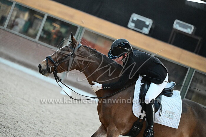 Sara de Graaf - Uildriks Golden el Corazon