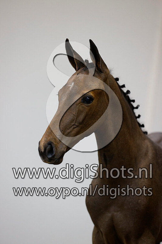 Leandro Vg x Matisse de Mariposa