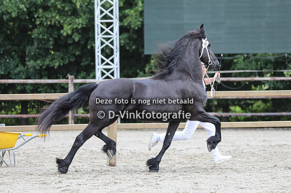 Rubriek 8 premiekeuring van 4 tot 6 jarigen