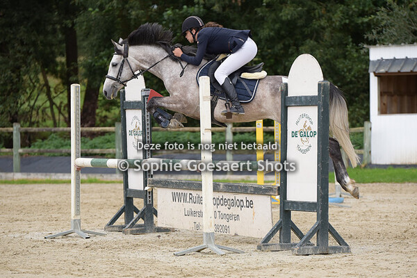 06/09 Jumping M&M Grovenhof