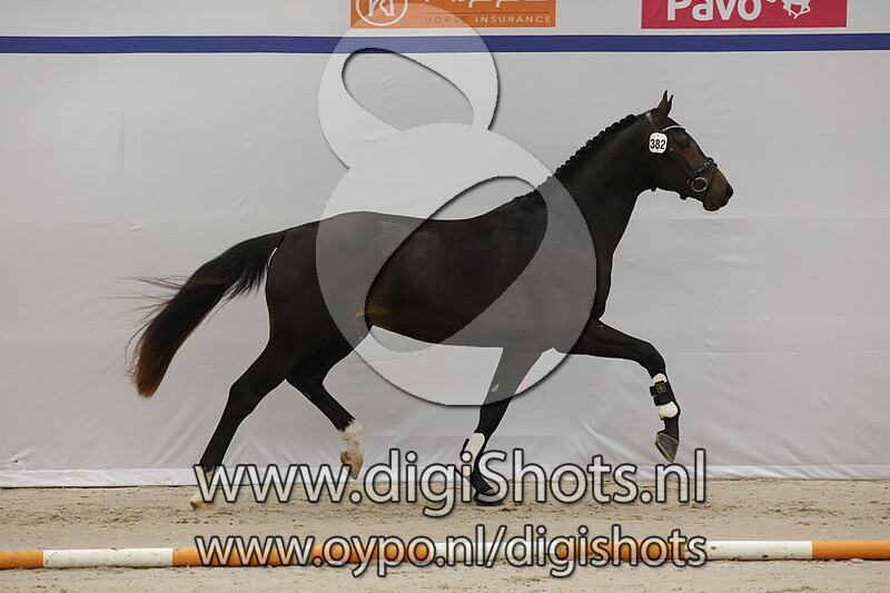 Rooney v. Glamourdale - 382