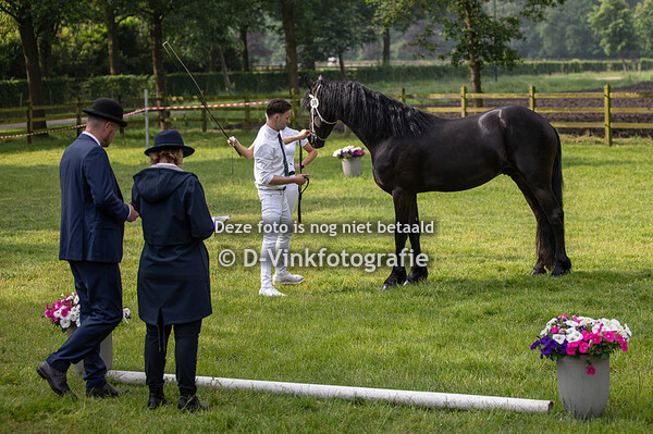 31. Roele van de Oudekleefsebaan