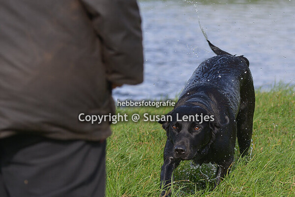 WT Kamerik 13 oktober 2024 B2