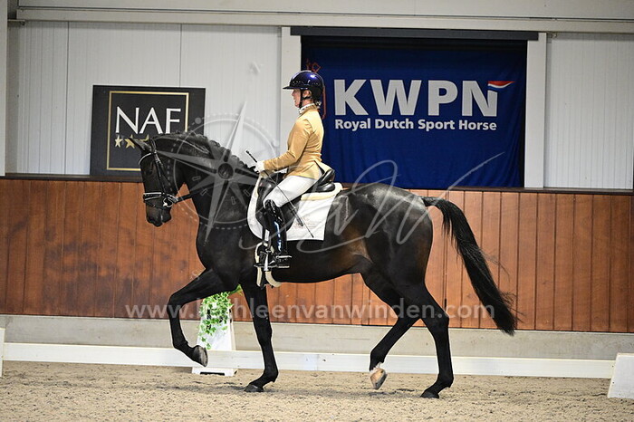 Jose van Haaren - Remix