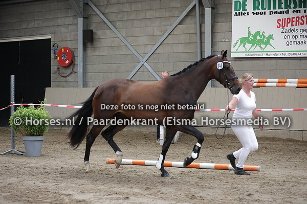 40 Mabella (Spielberg x Bella Donja v. Tygo)