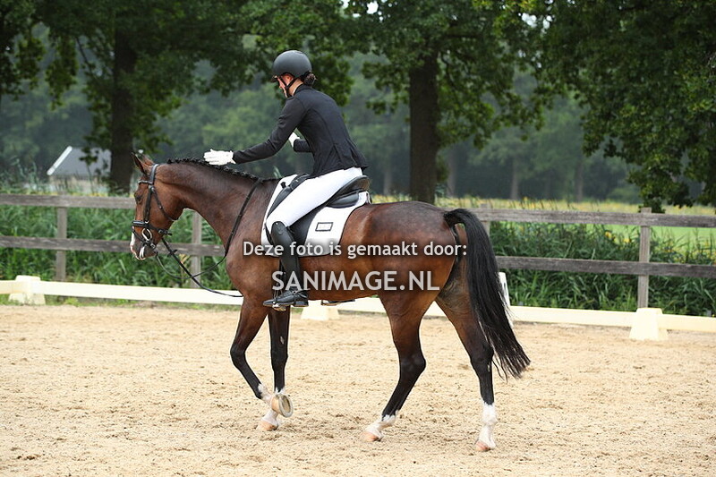 Manege Groenewoude Dressuur 17-08-2025 Ring 2 12.45 - 14.15 uur