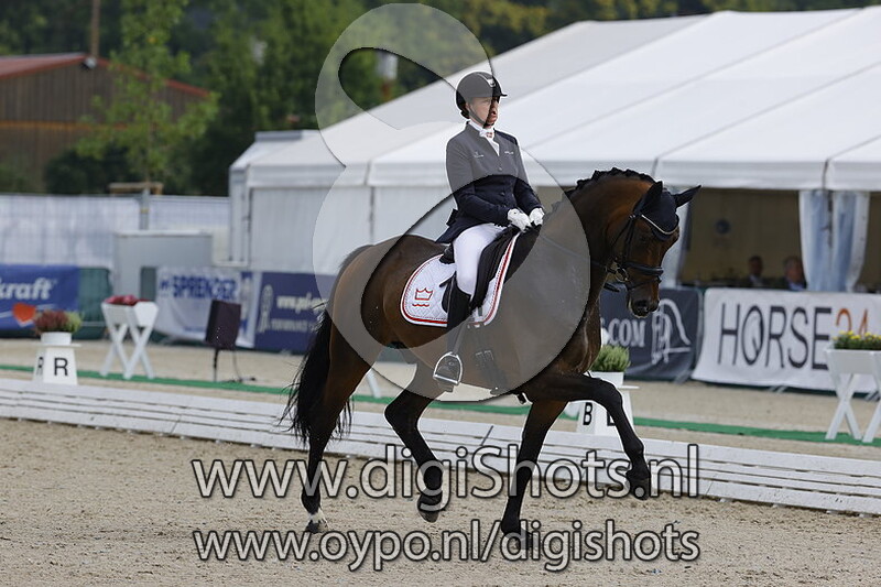 Atterupgaards Spiderman