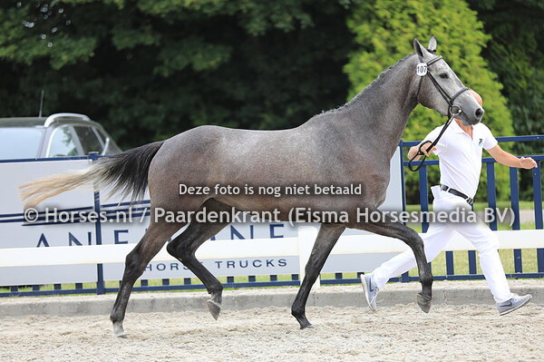 107 Lardorette v Eldorado