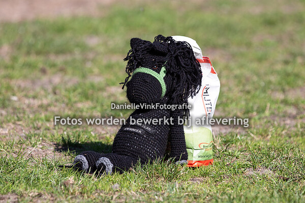 Friezenteam Groningen - viertal