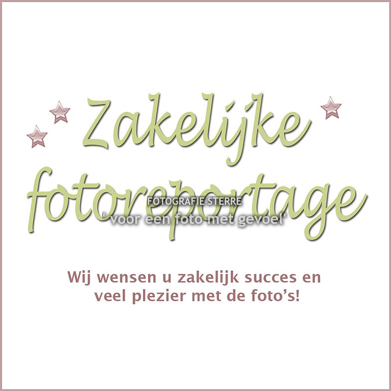 ZAKELIJKE FOTOREPORTAGE