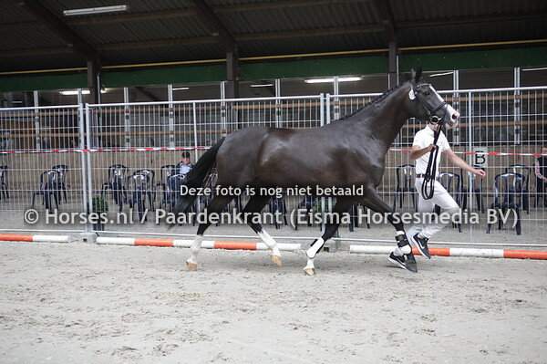 164 Jennefer (Johnson x semmy v. Haarlem) (1)
