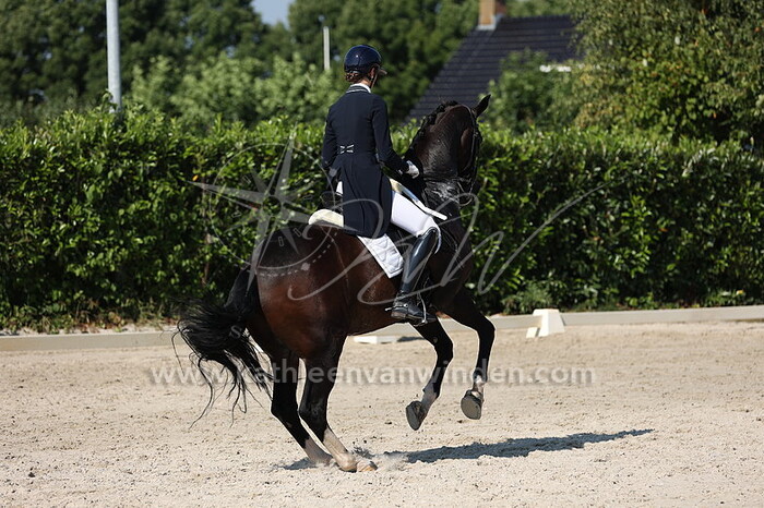 Milou Dees - Francesco