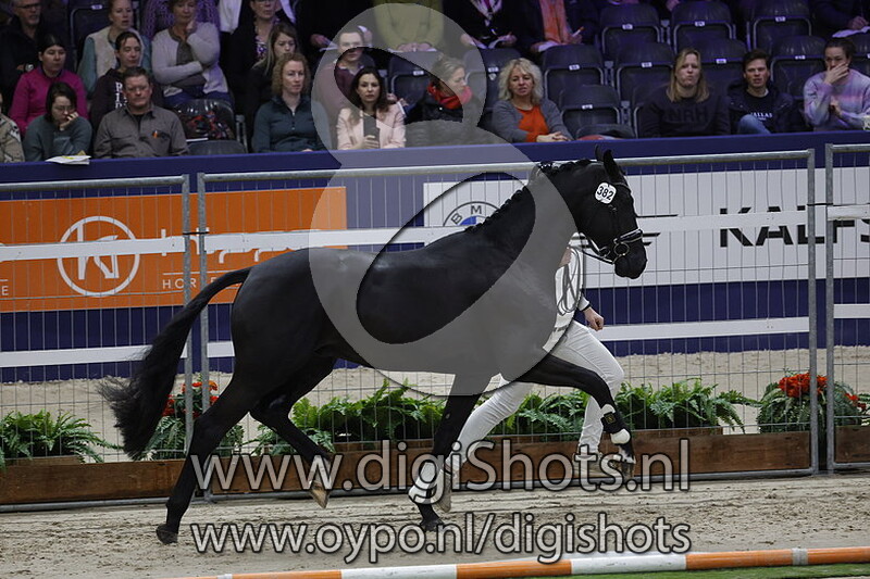 Phantom v. Glock's Toto Jr 382