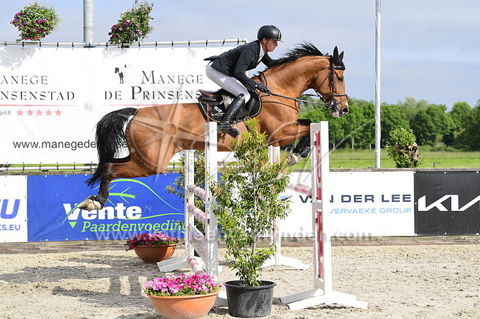 Jeffrey Schmitz - Chalifornia