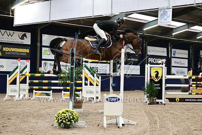 Tom Schellekens - Never Mind