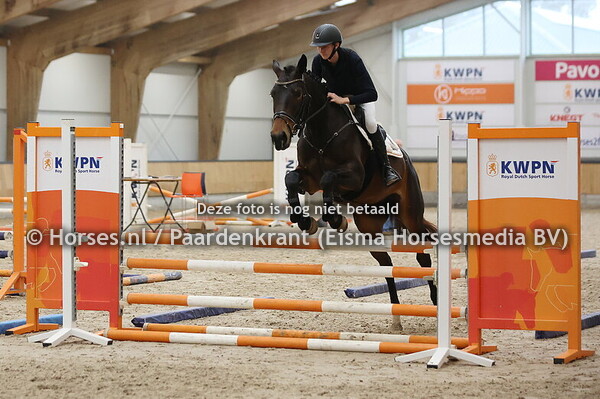 13 Sunrise (Le Kannan x Varianta v. Furore)