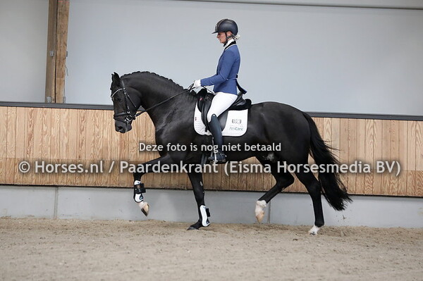 801 Oreo (Glock's Toto jr x desire v. Citango)