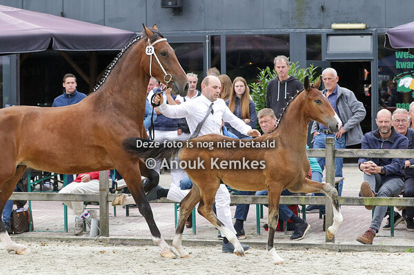 022 - UBERON SK OBERON X ATLEET E. KUPERUS, OUDEMIRDUM