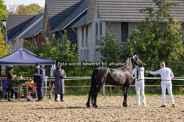 13. Mari-Carmen Stal Hendray