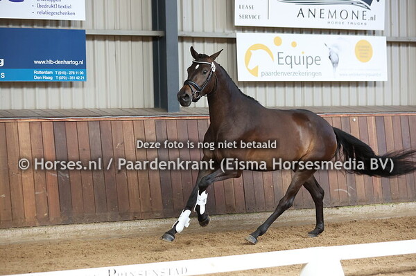 33 Sapphire (Iron x Ogardens Dior de Luxe v. Sandreo)