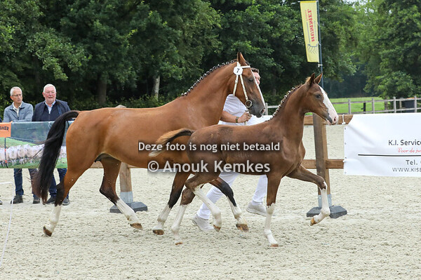 7 - Vitasja ( Olympus HS x Urgent )