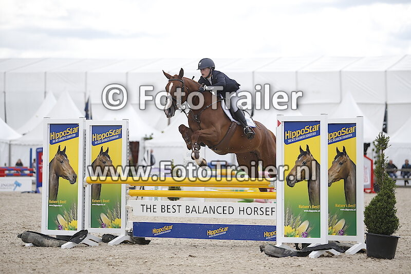 Henrieke van der Scheer