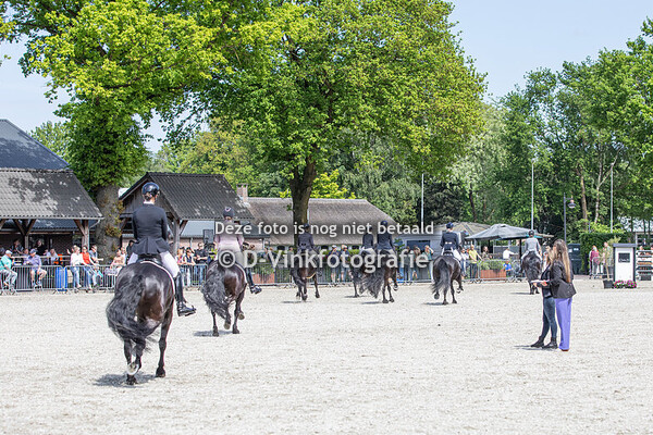 Rubriek 07. Bestgaand rijpaard jongere merries