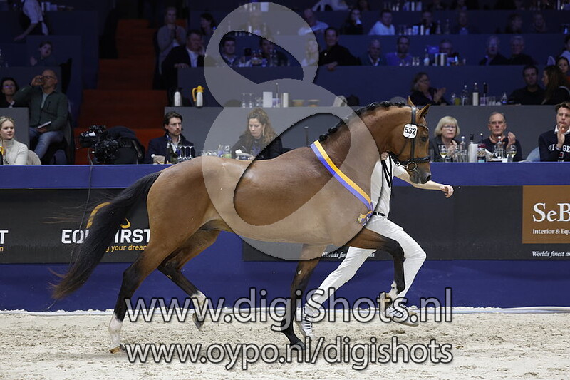 Rome Usb v. Vaderland - 532