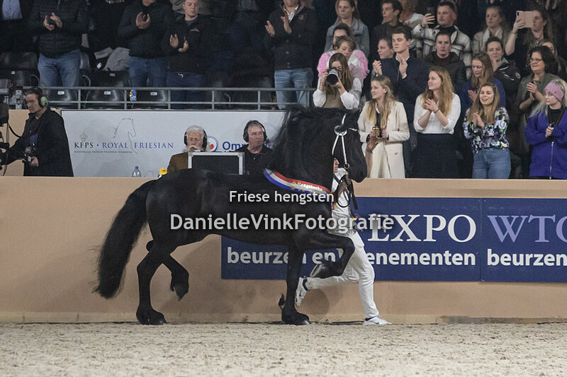 Hengstenkeuring 2023 Jurre 495