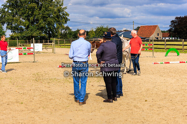 VEULENS/POULAINS CPB			