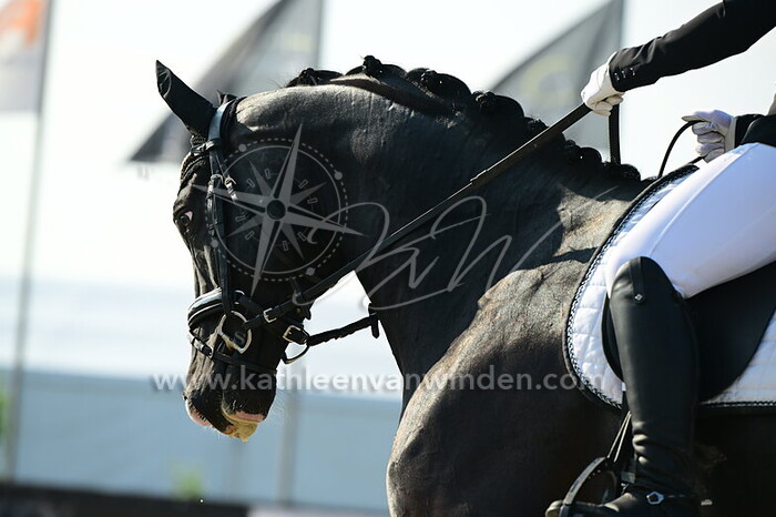 Lynn Loendersloot - Obsession Veluw