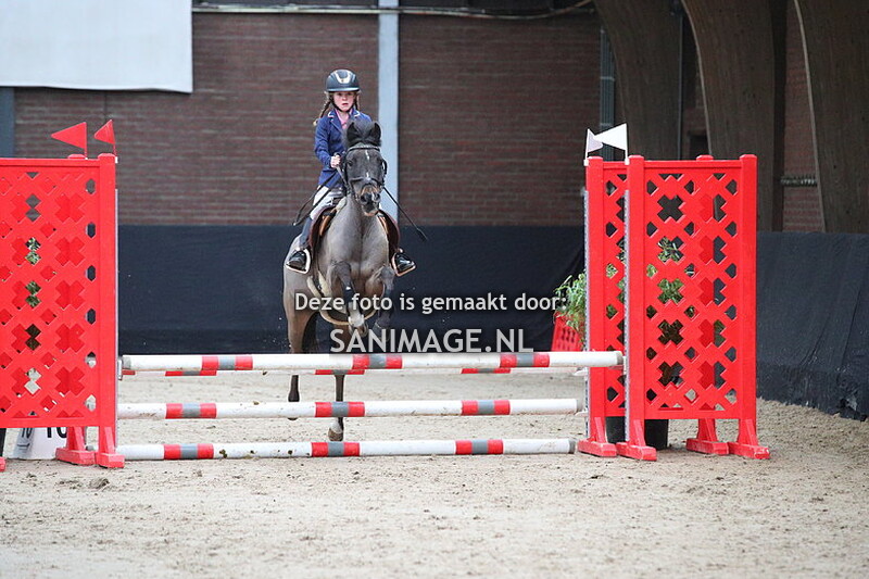 Zilfia's Hoeve Springen pony's 04-02-2024 40/50/60 cm Cat.ABC