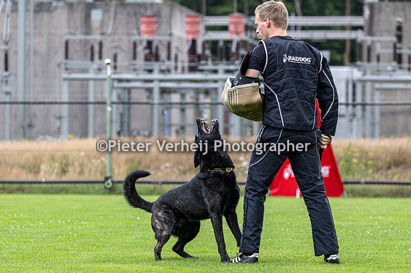 Rene Pots met Lasko van Valesca's Home